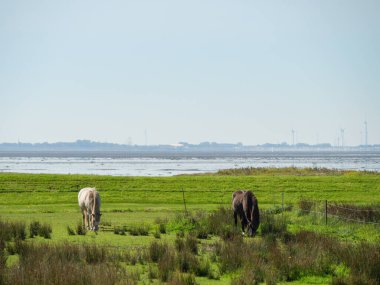 Almanya 'daki Langeoog Adası plajı.