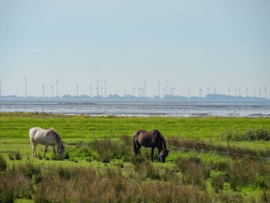 Almanya 'daki Langeoog Adası plajı.