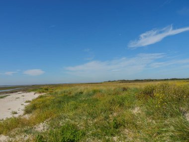 Almanya 'daki Langeoog Adası plajı.