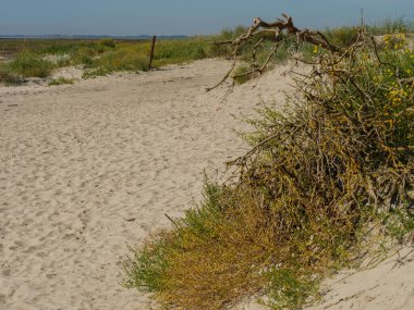 Almanya 'daki Langeoog Adası plajı.