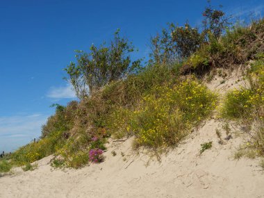 Almanya 'daki Langeoog Adası plajı.