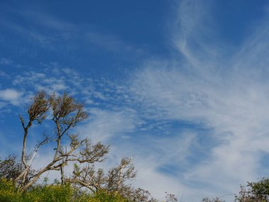 Almanya 'daki Langeoog Adası plajı.