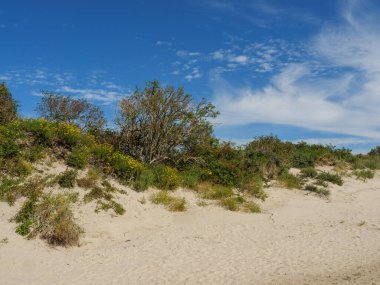 Almanya 'daki Langeoog Adası plajı.