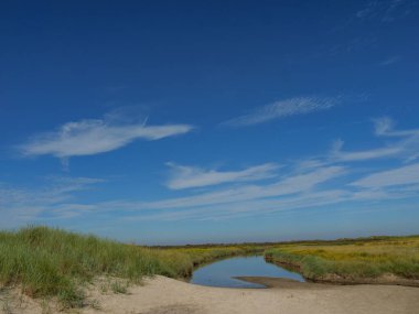 Almanya 'daki Langeoog Adası plajı.