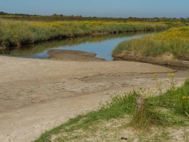 Almanya 'daki Langeoog Adası plajı.