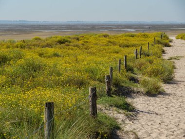 Almanya 'daki Langeoog Adası plajı.