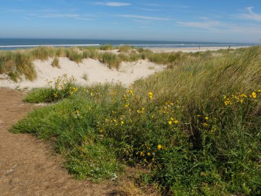Almanya Langeoog Adası