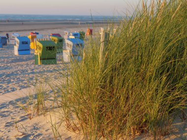 Langeoog adasının plajı.