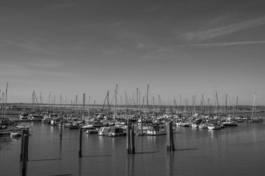 Langeoog adasının plajı.