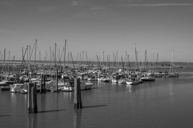 Langeoog adasının plajı.