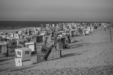 Langeoog adasının plajı.