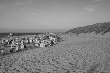 Langeoog adasının plajı.