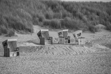 Langeoog adasının plajı.
