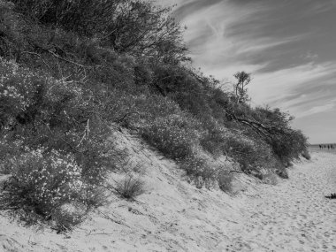 Kuzey Denizi Langeoog Adası