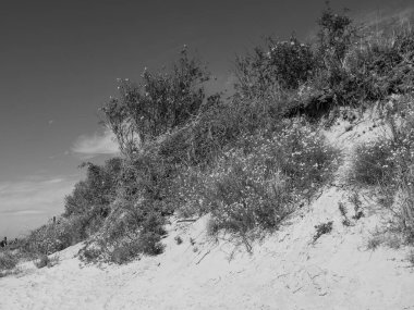 Kuzey Denizi Langeoog Adası