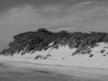 Kuzey Denizi Langeoog Adası