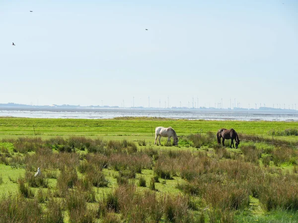Almanya 'daki Langeoog Adası plajı.