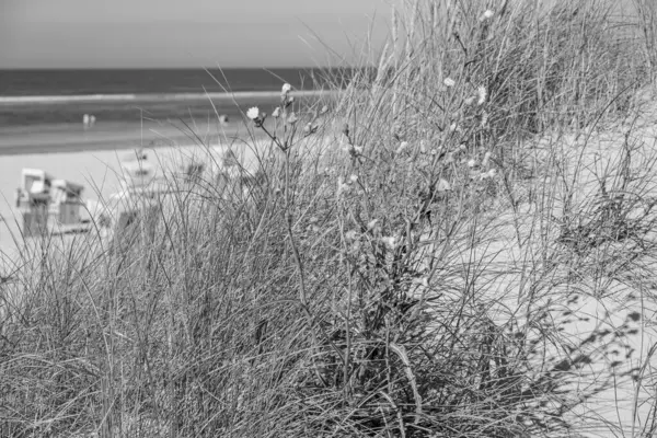 Praia Ilha Langeoog — Fotografia de Stock