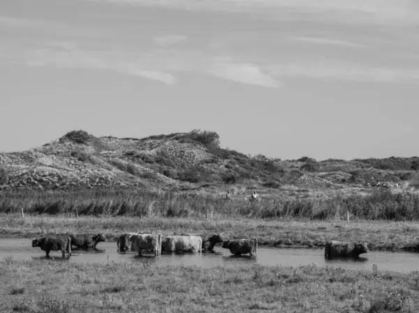 Langeoog adasında yaz zamanı