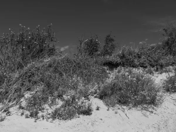 Kuzey Denizi Langeoog Adası