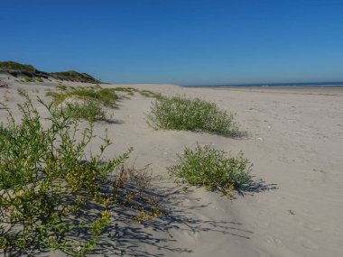 Almanya Langeoog Adası