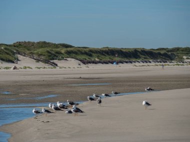 Almanya Langeoog Adası