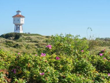 Almanya Langeoog Adası