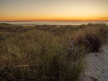 Kuzey denizindeki langeoog adası.