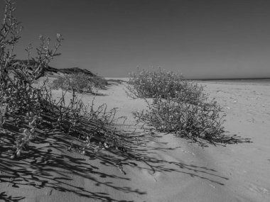 Almanya Langeoog Adası