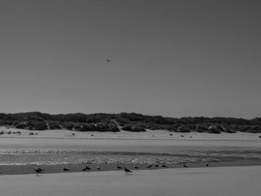 Almanya Langeoog Adası