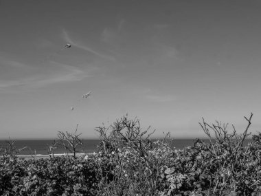 Almanya Langeoog Adası