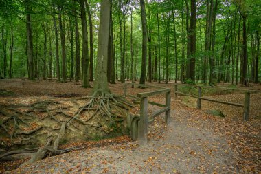 Ramsdorf köyü ve Westphalia 'daki aa nehri.