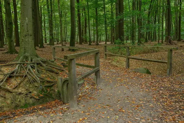 Ramsdorf köyü ve Westphalia 'daki aa nehri.