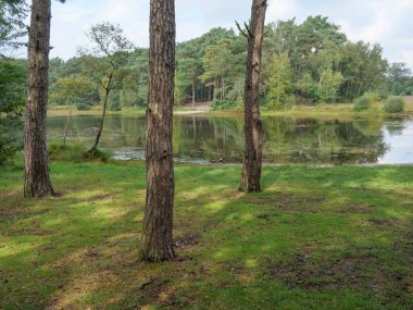 Haaksbergen yakınlarında Hollanda 'da yürüyüş