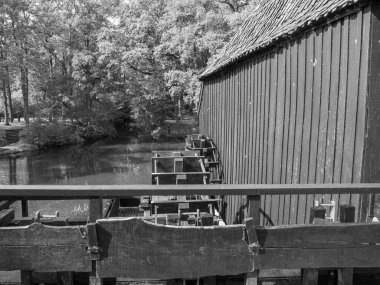 Haaksbergen yakınlarında Hollanda 'da yürüyüş