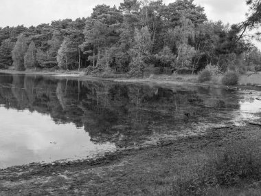 Haaksbergen yakınlarında Hollanda 'da yürüyüş