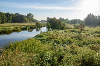 Sabahın erken saatlerinde Westphalia 'da bir nehirde