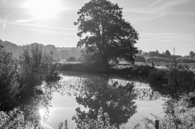 Sabahın erken saatlerinde Westphalia 'da bir nehirde