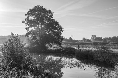 Sabahın erken saatlerinde Westphalia 'da bir nehirde