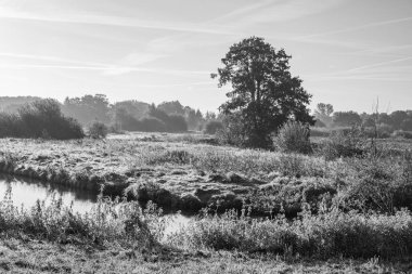 Sabahın erken saatlerinde Westphalia 'da bir nehirde