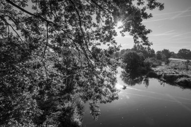 Sabahın erken saatlerinde Westphalia 'da bir nehirde