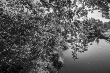 Sabahın erken saatlerinde Westphalia 'da bir nehirde