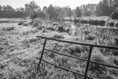 Sabahın erken saatlerinde Westphalia 'da bir nehirde