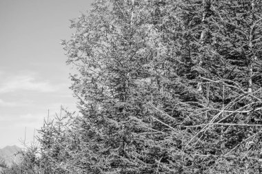 İsviçre 'de sonbahar zamanı