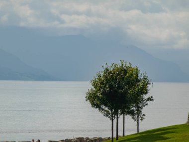 ship cruise in the norwegian fjords