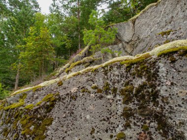 ship cruise in the norwegian fjords