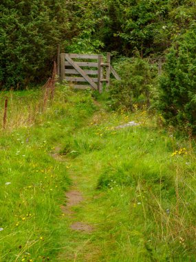 ship cruise in the norwegian fjords