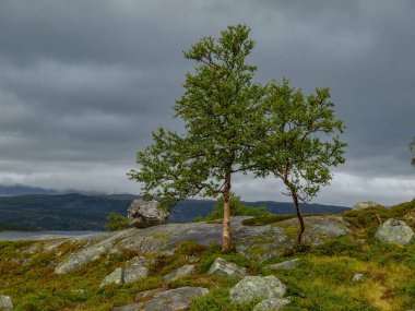 ship cruise in the norwegian fjords