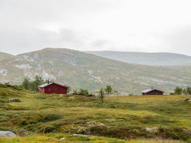 ship cruise in the norwegian fjords