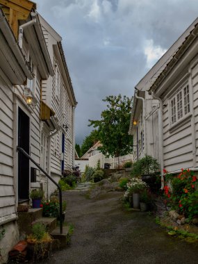 ship cruise in the norwegian fjords